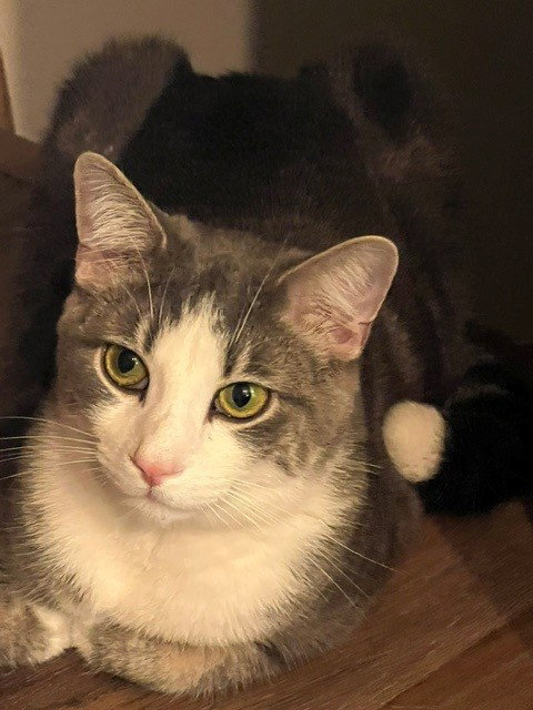 Photo 2 of Lucky