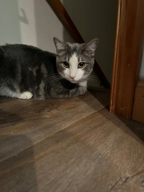 Photo 3 of Lucky