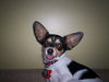 Zoey