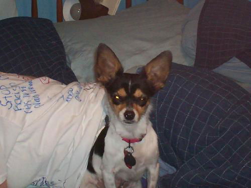 Zoey