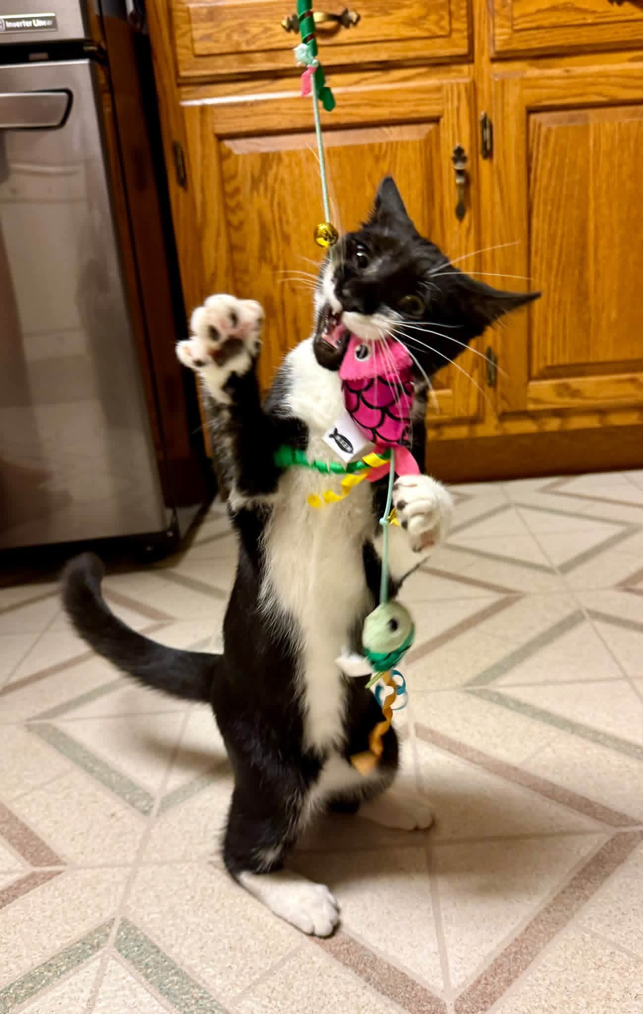 Sabrina
