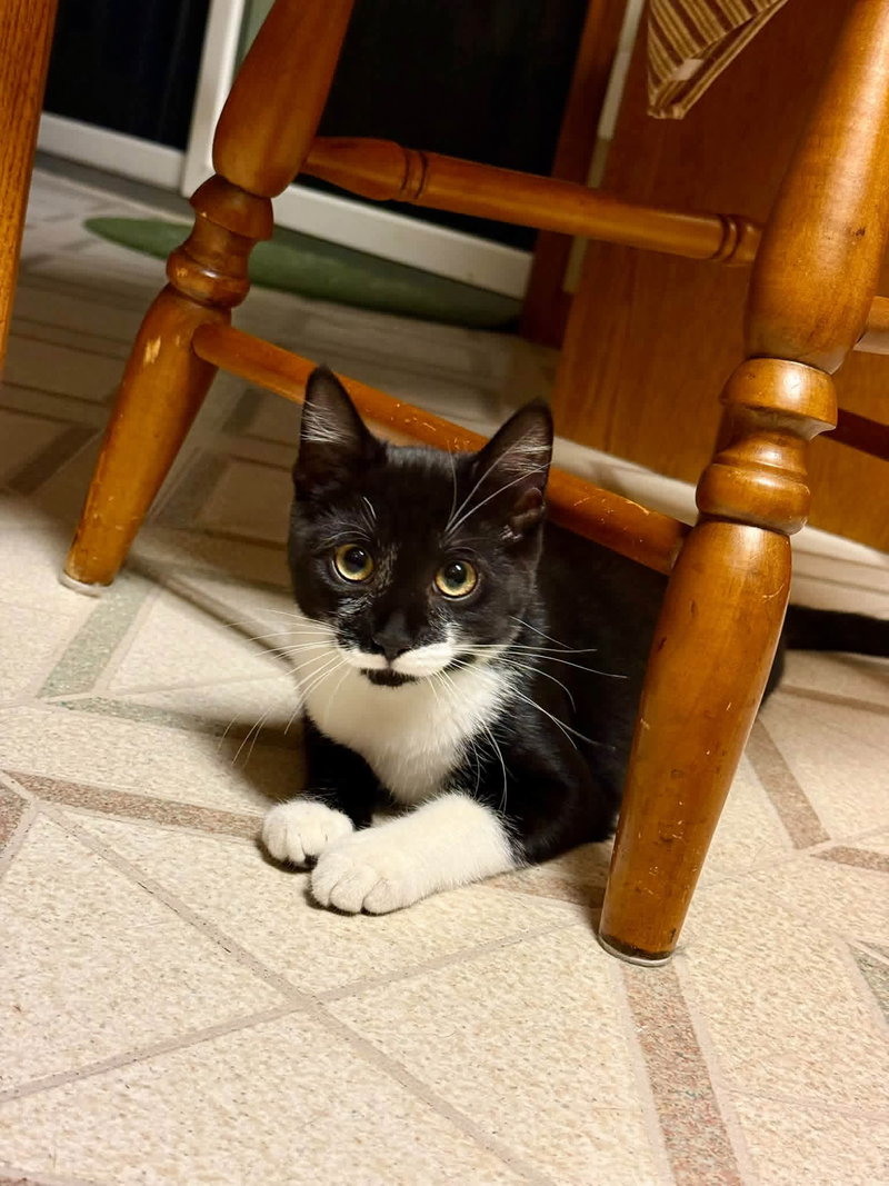 Sabrina, photo 3