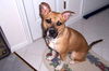 Maggie