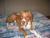 Quincy