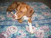 Quincy