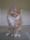Abby