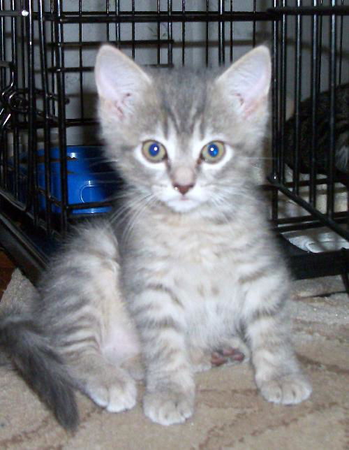 Emily's Baby: Precious