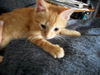 Parker_ Please play with ME