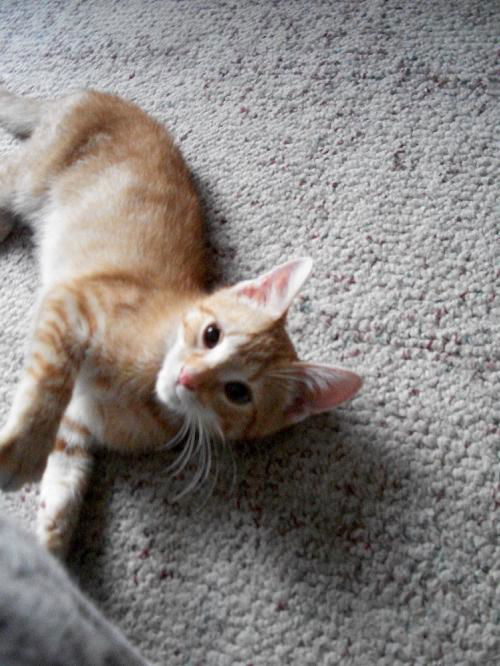 Parker_ Please play with ME