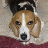Carly