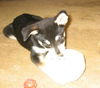Levi