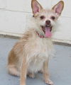 Gigi - what a GREAT personality