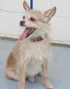 Gigi - what a GREAT personality