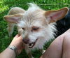 Gigi - what a GREAT personality