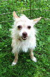 Gigi - what a GREAT personality