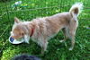 Gigi - what a GREAT personality