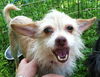 Gigi - what a GREAT personality