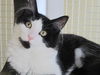 Zassie-Come see me at Petco(Harrisburg)