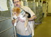 Gidget