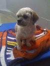 Jack