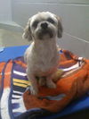 Jack
