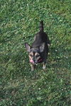Maggie