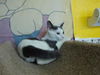 HARLEY the KITTEN
