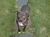 Ike - Best boy EVER!