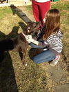 Ike - Best boy EVER!