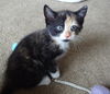 Lilly