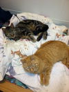 Eric-Come see me at Petco(Rt 22)