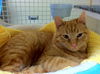 Eric-Come see me at Petco(Rt 22)