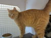 Eric-Come see me at Petco(Rt 22)