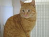 Eric-Come see me at Petco(Rt 22)
