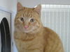 Eric-Come see me at Petco(Rt 22)