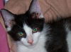 George