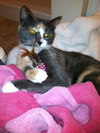 Abbey & Oliver