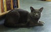 Parker - Great Personality!