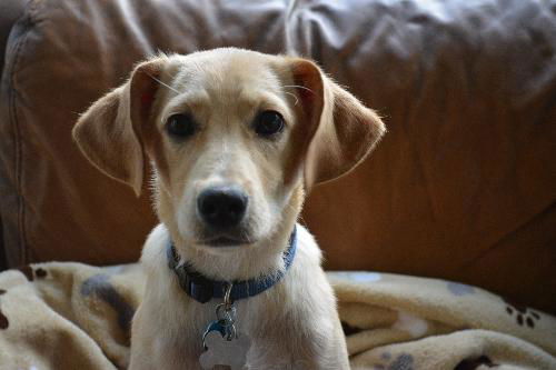 Leroy