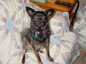 Heidi