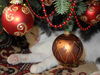 A 2015 New Year's Kitten,CATALINA