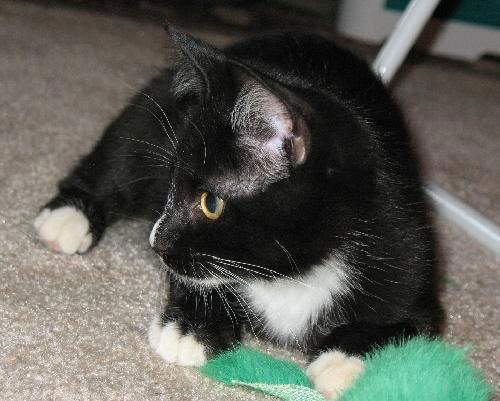 Abby