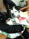 Eddie-*SPECIAL NEEDS*
