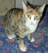 Maggie