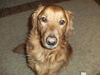 Alex(ADOPTED WITH HIS BROTHER!):D
