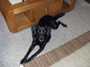 Harry(ADOPTED WITH HIS BROTHER!)