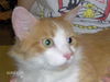 George