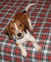 Maggie