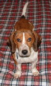 Maggie