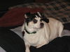 Maggie